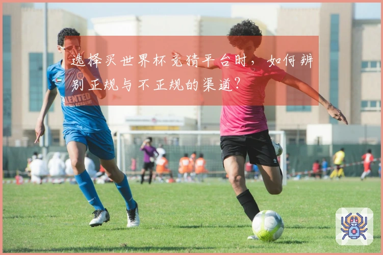 选择买世界杯竞猜平台时，如何辨别正规与不正规的渠道？