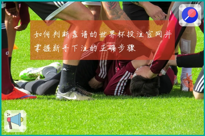 如何判断靠谱的世界杯投注官网并掌握新手下注的正确步骤