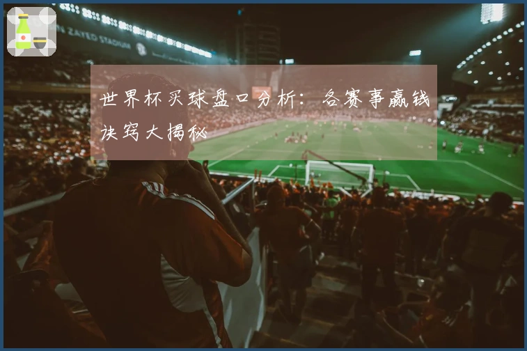 世界杯买球盘口分析：各赛事赢钱诀窍大揭秘