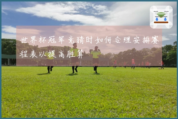 世界杯冠军竞猜时如何合理安排赛程表以提高胜算